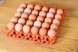 Farm Fresh Eggs